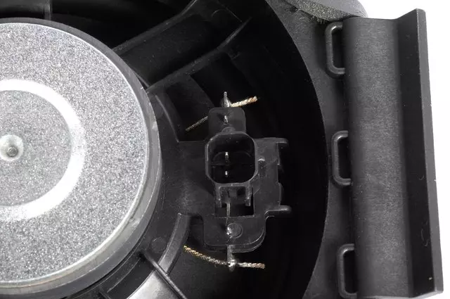 Front Door Radio Speaker