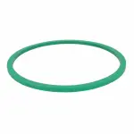 Motorcraft™ Fuel Pump Tank Seal