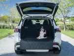Pet Cargo Area Protector