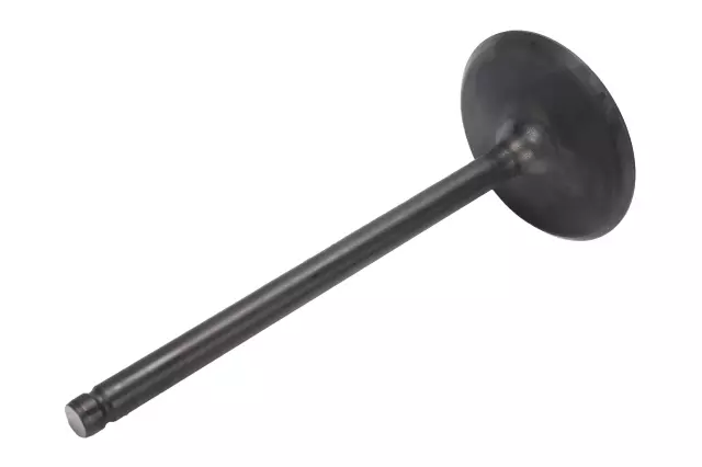 Intake Valve
