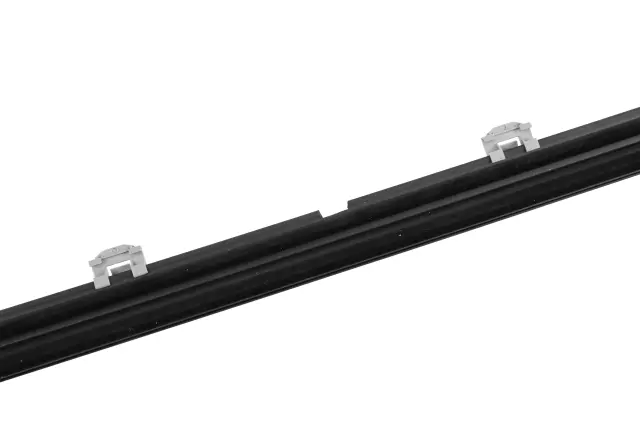 Front Passenger Side Door Window Belt Reveal Molding