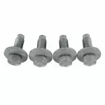 Mount Plate Bolt
