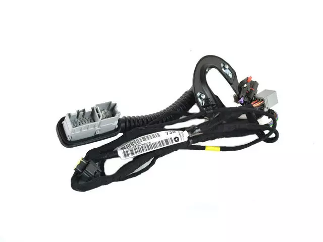 Rear Door Wiring, Left