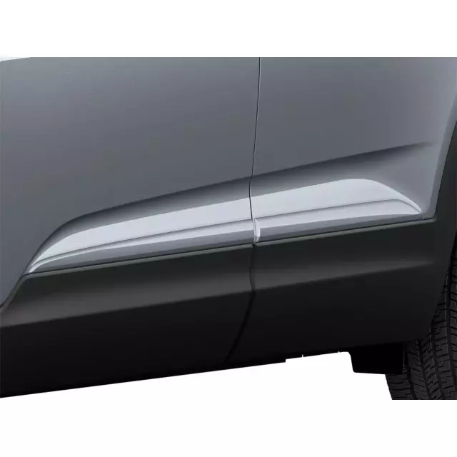 GM Exterior Trim Door Molding 42688852