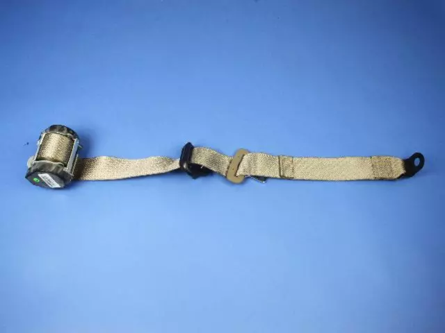 Lap & Shoulder Belt