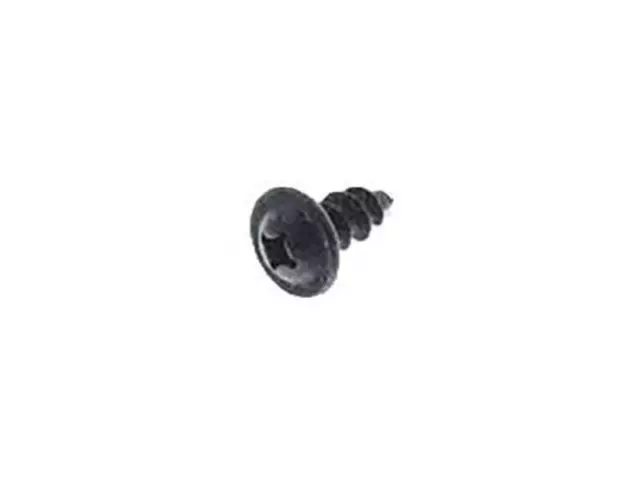 License Bracket Screw