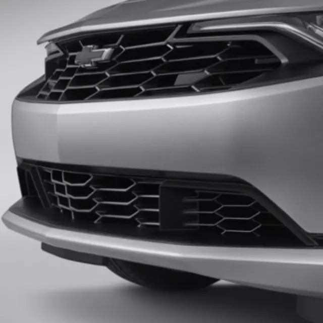 Exterior Trim, Grille, Lower