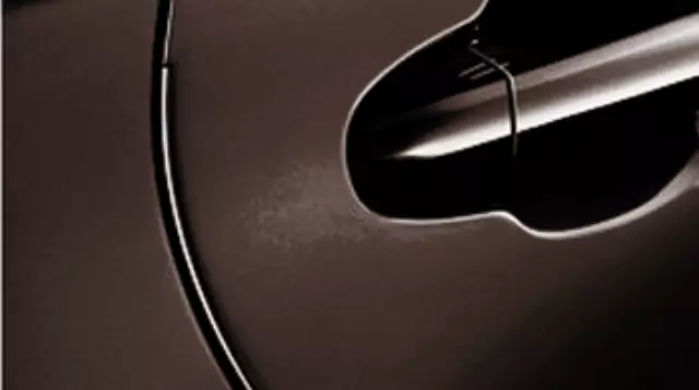 2017-2019 Toyota Highlander - Door Edge Guard, Toasted Walnut Pearl