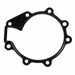 Engine Water Pump Gasket