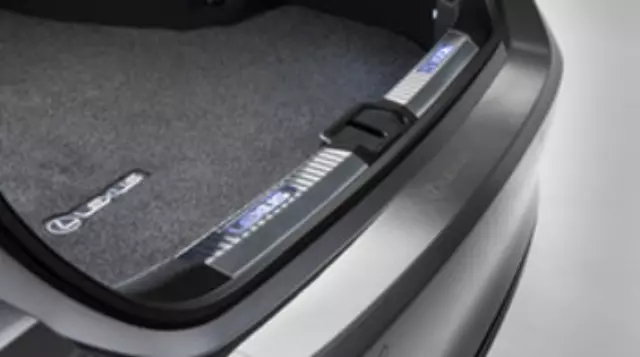 2019-2023 Lexus - Bumper Appliqu?, Rear, Clear