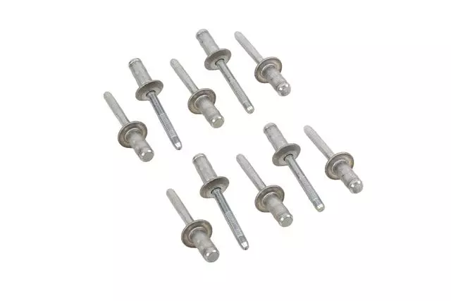 Multi-Purpose Rivet