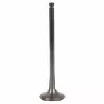 Exhaust Valve