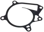 Water Pump Gasket