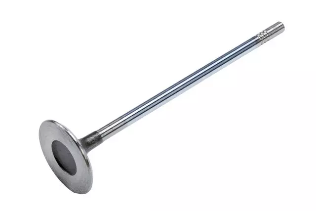Engine Intake Valve