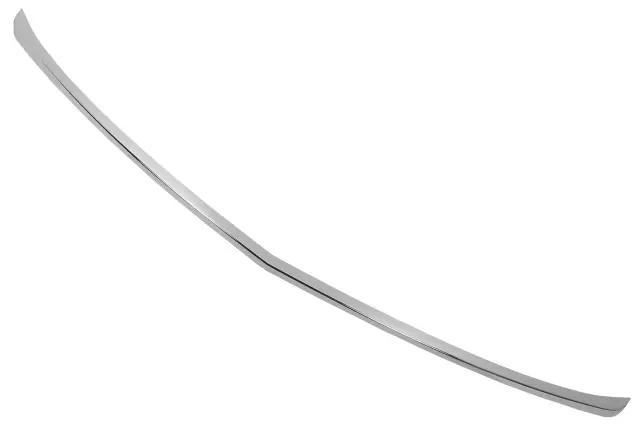 Rear Bumper Fascia Molding