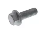 Caliper Mount Bolt