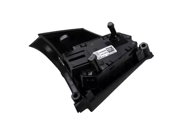 Cruise Control Switch in Black