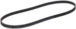 Power Steering Belt