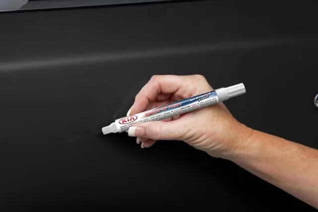 Touch-Up Paint Pen - Aurora Black Abp
