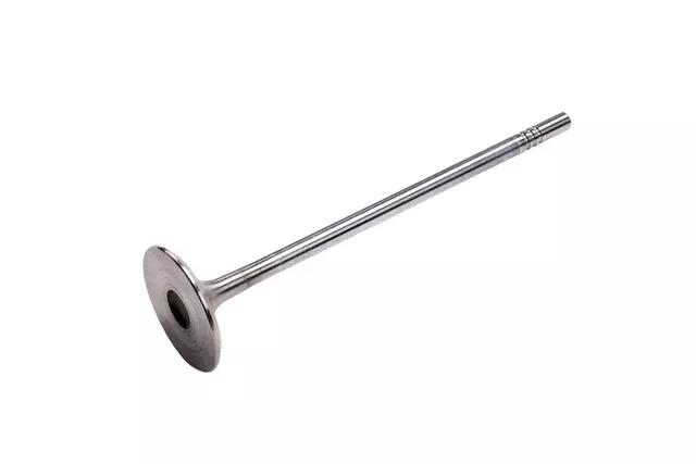 Intake Valve