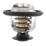 Motorcraft™ Thermostat