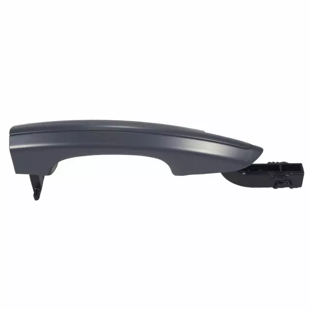 2013-2024 Ford Handle, Outside DS7Z-5422404-AAPTM | OEM Parts Online