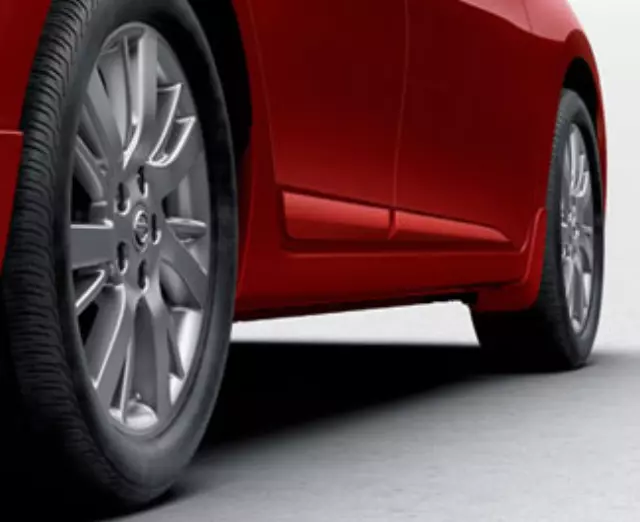 Body Side Moldings, Passenger Side