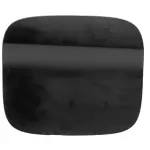 Fuel Door