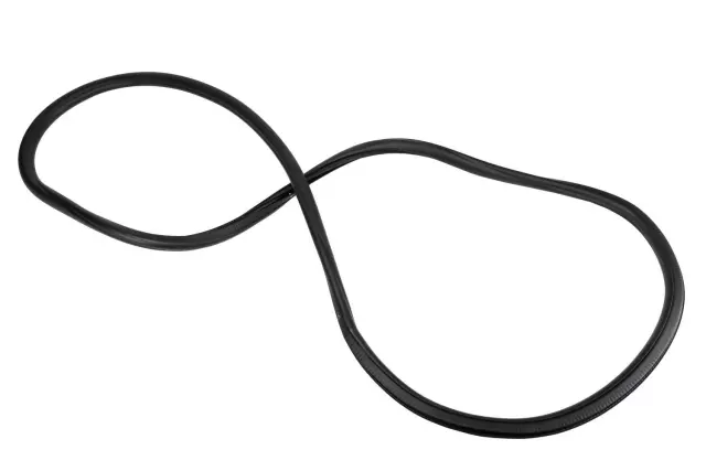 Driver Side Front Door Weatherstrip