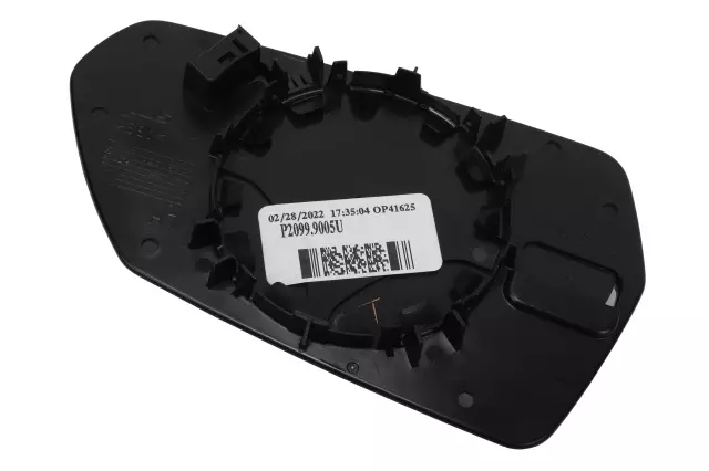 Driver Side Door Mirror with Glass and Backing Plate