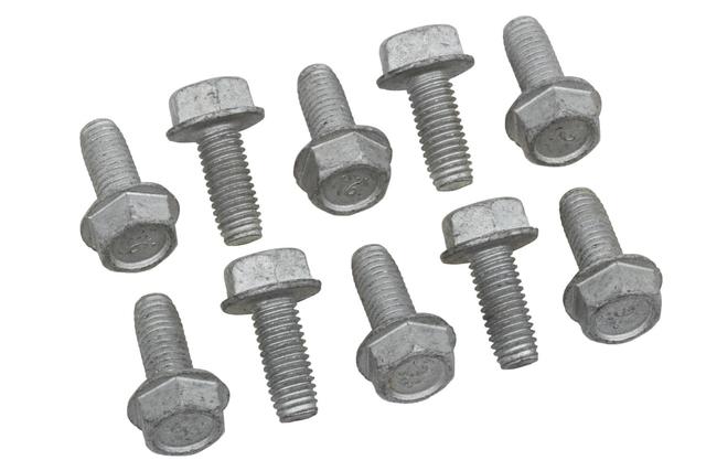 Multi-Purpose Bolt