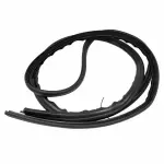 Weather-Strip On Body