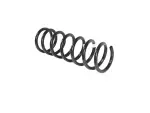Front Coil Spring, Left