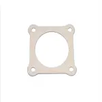 Converter & Pipe Gasket