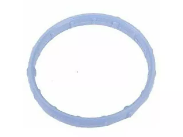 Thermostat Housing Lower Seal
