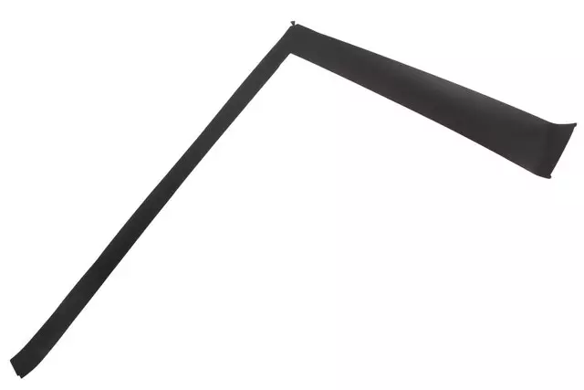 Rear Passenger Side Door Window Frame Front Blackout Tape