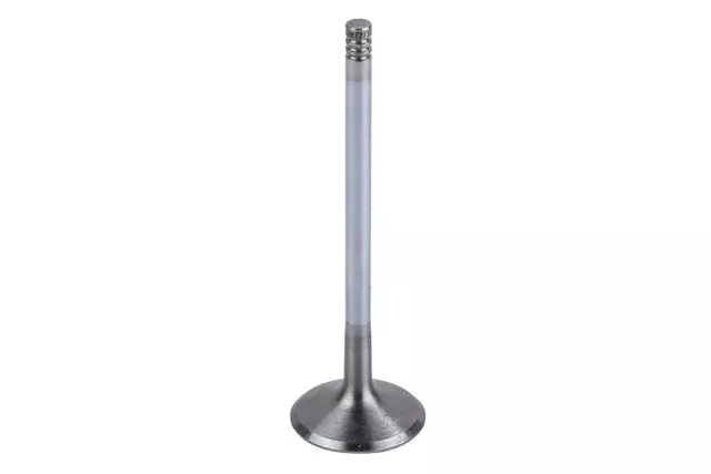 Engine Intake Valve