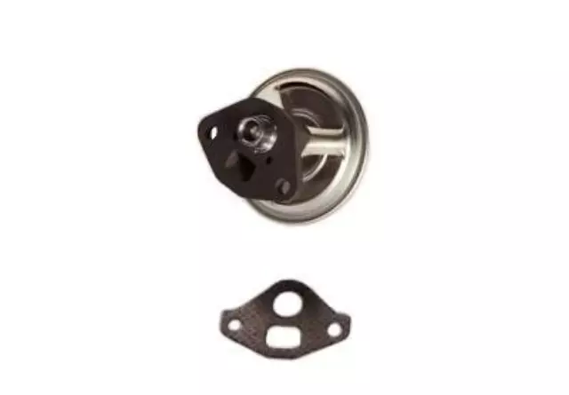 Exhaust Gas Recirculation (EGR) Valve Kit with Gasket