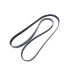 Serpentine Belt