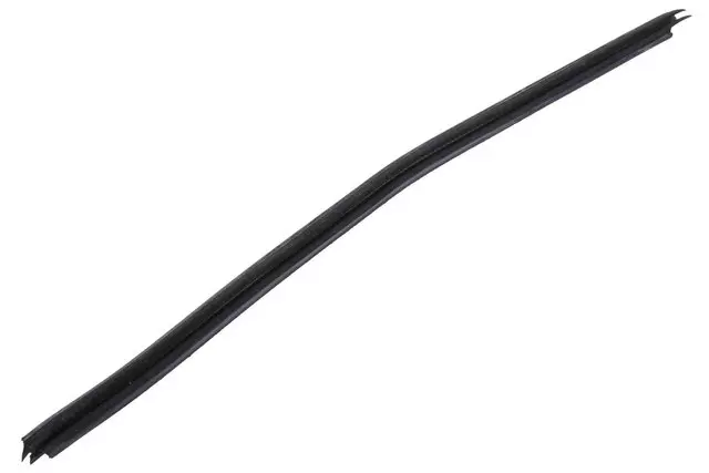 Rear Driver Side Door Window Inner Sealing Strip