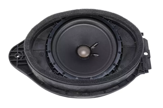Radio Front Side Door Speaker