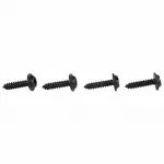 Fog Lamp Screw
