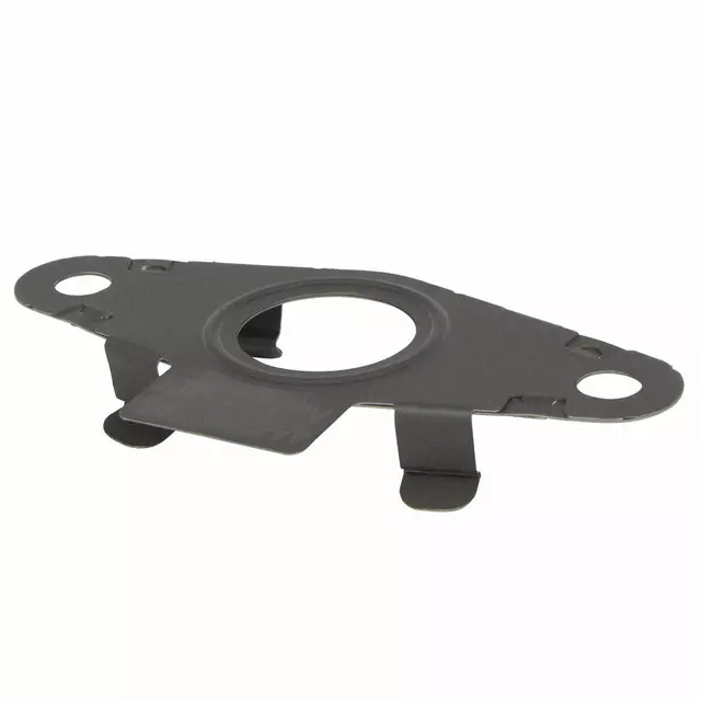 2018-2024 Ford - Cooler Pipe Gasket