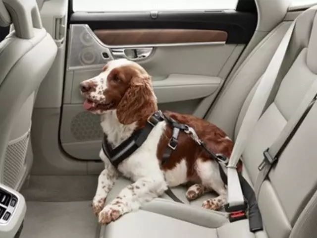 Dog Harness - Extra-Large (121 - 132 Lbs.)