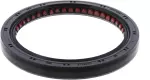 Rear Main Seal