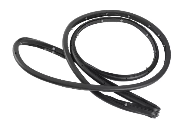 Front Driver Side Door Weatherstrip