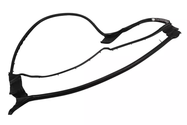 Rear Passenger Side Door Weatherstrip