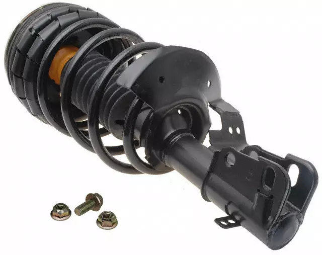 Front Suspension Strut and Coil Spring Assembly