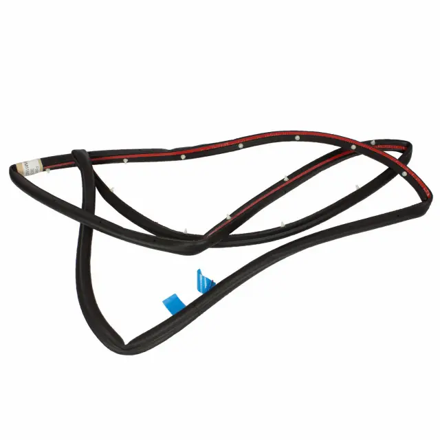 Genuine Ford Door Weather-Strip BM5Z-5820709-B