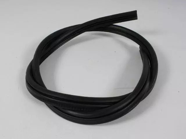 2008-2023 Dodge Challenger Body Side Weatherstrip 5160346AA | My